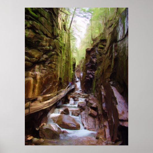 ニューハンプシャー州フランソニア州のFlumes ポスター (正面)