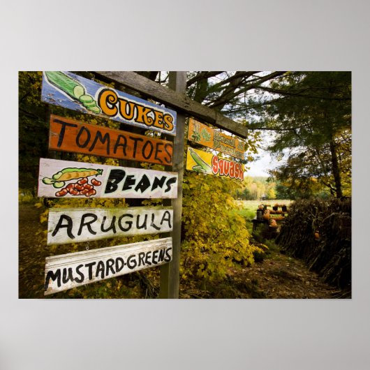 ニューハンプシャー州ホルダネスにある農場のスタンド。 ポスター (正面)