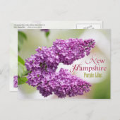 ニューハンプシャー州花：パープル薄紫 ポストカード (正面/裏面)