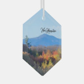 ニューハンプシャー ガラスオーナメント (正面右)