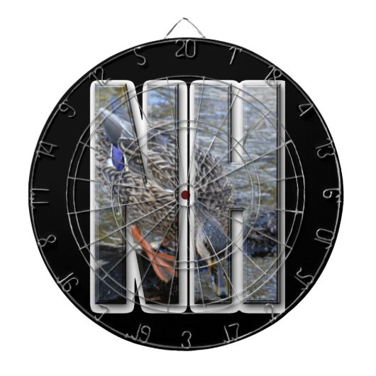 ニューハンプシャー ダーツボード (正面)