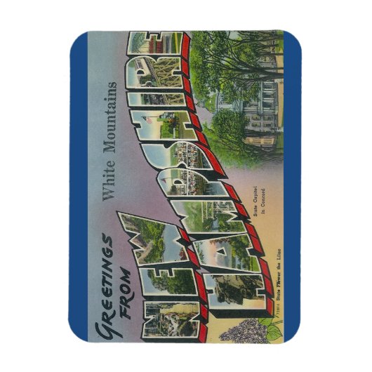 ニューハンプシャー、ホワイトマウンテンズマグネット マグネット (縦)