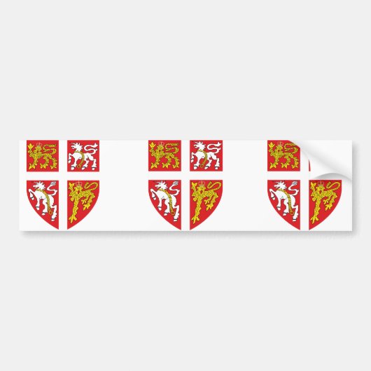 ニューファウンドランドおよびラブラドール、カナダ バンパーステッカー (正面)