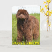 ニューファウンドランドの子犬のバースデー・カード カード (黄色い花)