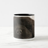 ニューファウンドランドの子犬の睡眠(イヌ属のfamiliaris)。 ツートーンマグカップ (中央)