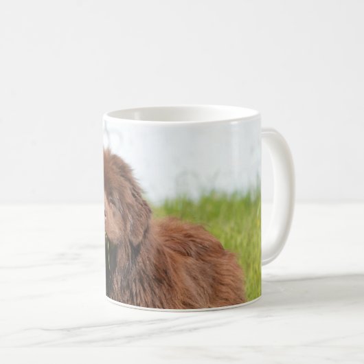 ニューファウンドランドの子犬 コーヒーマグカップ (正面右)