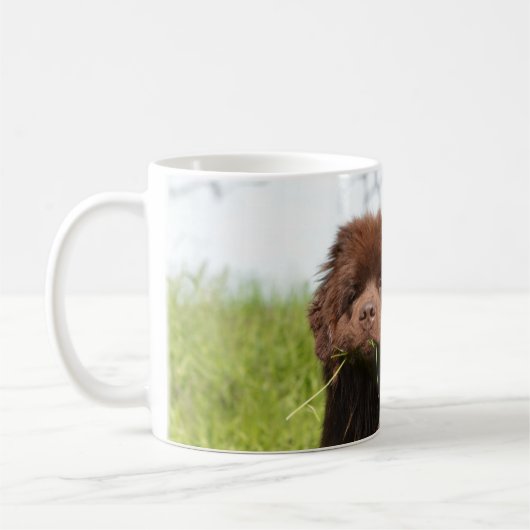 ニューファウンドランドの子犬 コーヒーマグカップ (左)