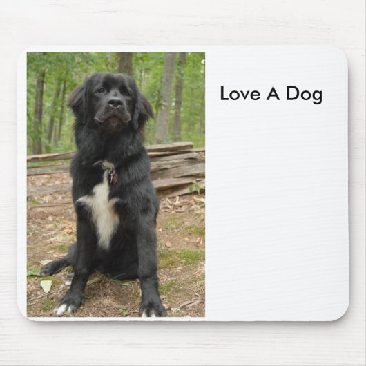 ニューファウンドランドは、犬を愛します マウスパッド (正面)