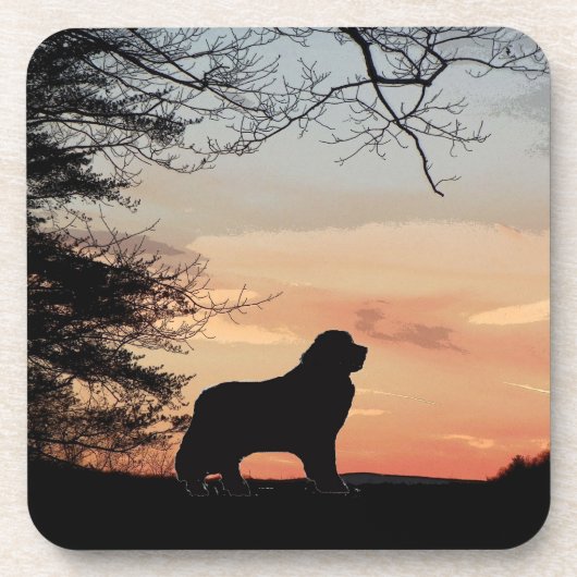ニューファウンドランド犬のコースター コースター (正面)