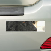 ニューファウンドランド犬のバンパーステッカー バンパーステッカー (車上)