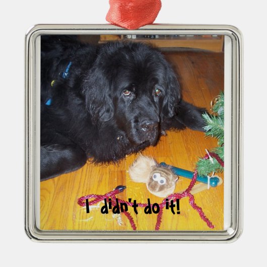 ニューファウンドランド犬の木のornamnet メタルオーナメント (正面)