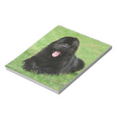 ニューファウンドランド犬 ノートパッド (回転)