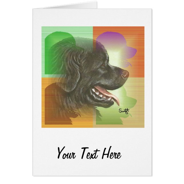 ニューファウンドランド (正面)