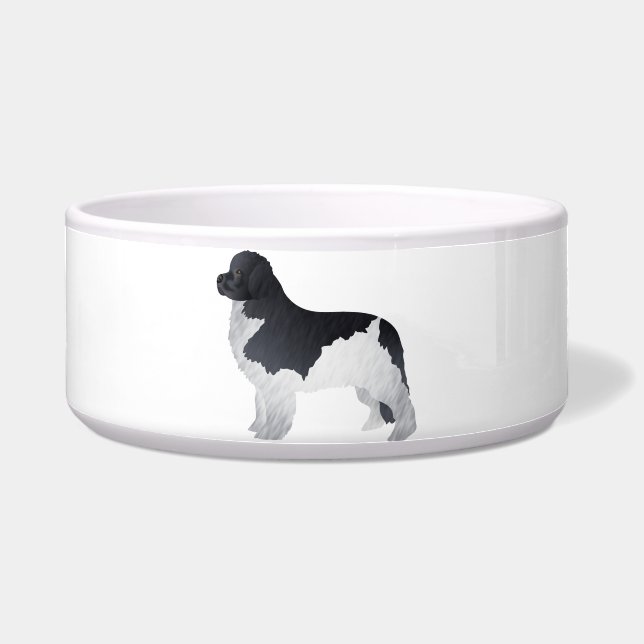 ニューファウンドランド ボウル (正面)