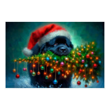 ニューファンドランドがクリスマスツリーを運ぶポスター