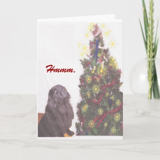 ニューファンドランドのクリスマスカード シーズンカード (正面)