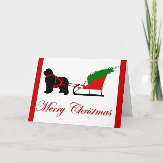 ニューファンドランドのクリスマスカード シーズンカード (正面)