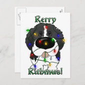 ニューファンドランドのクリスマスライト シーズンポストカード (正面/裏面)