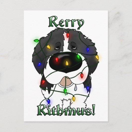 ニューファンドランドのクリスマスライト シーズンポストカード (正面)