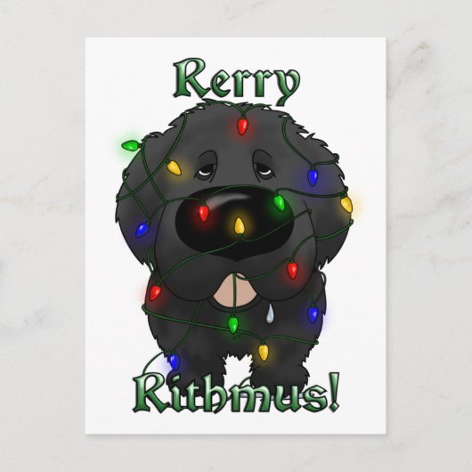 ニューファンドランドのクリスマスライト シーズンポストカード (正面)