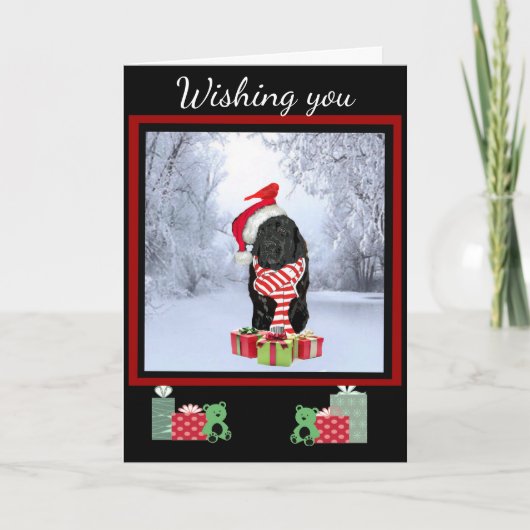 ニューファンドランドのクリスマス シーズンカード (正面)