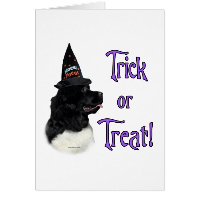 ニューファンドランドのトリック (正面)