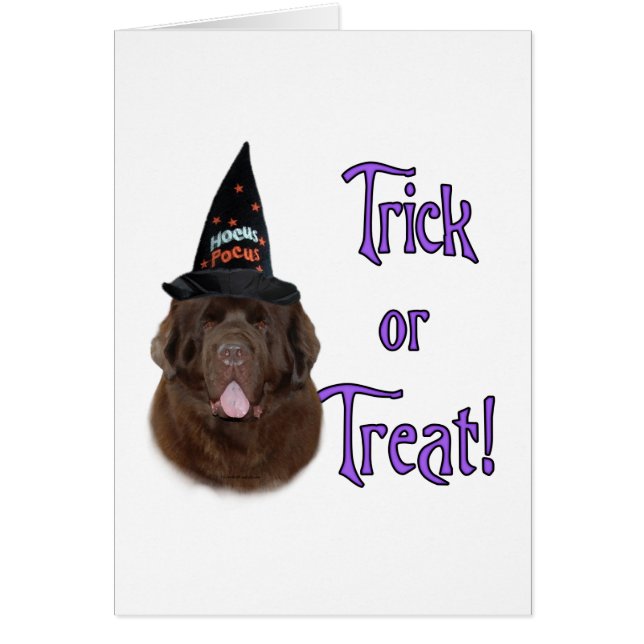 ニューファンドランドのトリック (正面)