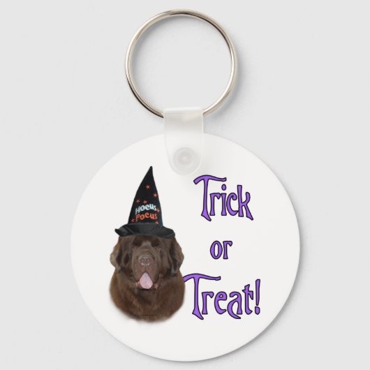 ニューファンドランドのトリック キーホルダー (正面)