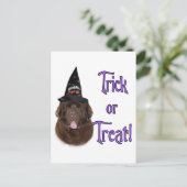 ニューファンドランドのトリック ポストカード (スタンド正面)