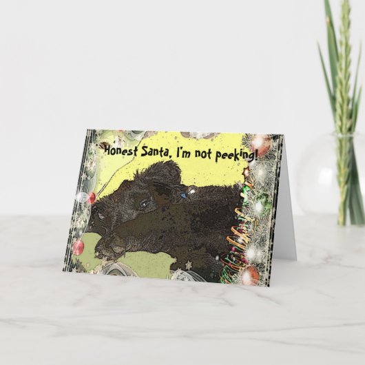 ニューファンドランドの子犬のクリスマスカード シーズンカード (正面)