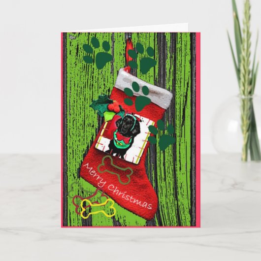 ニューファンドランドの子犬のクリスマスカード シーズンカード (正面)