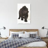 ニューファンドランドの子犬、スタジオショット キャンバスプリント (インサイチュ (寝室))