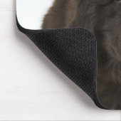 ニューファンドランドの子犬、スタジオショット マウスパッド (コーナー)