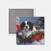 ニューファンドランドの犬のクリスマス マグネット (正面/裏面)
