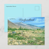 ニューファンドランドの風景 ポストカード (正面/裏面)