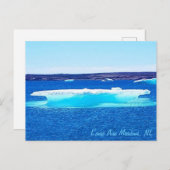 ニューファンドランドはがき ポストカード (正面/裏面)