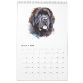 ニューファンドランドカレンダー2025 カレンダー (1月 2026)