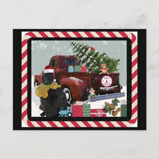 ニューファンドランドクリスマス シーズンポストカード (正面)