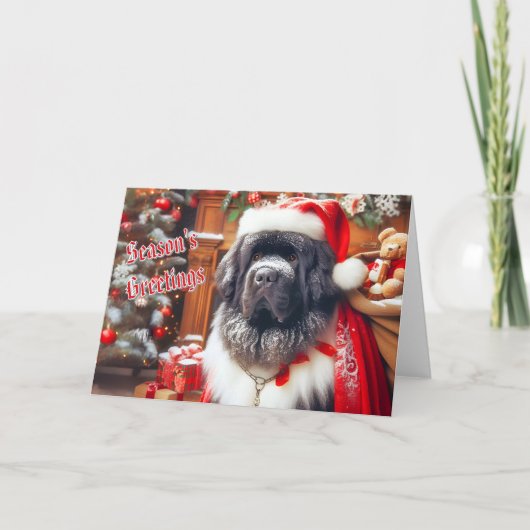 ニューファンドランドセントニコラスのクリスマスカード シーズンカード (正面)