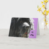 ニューファンドランドハッピーバースデー カード (黄色い花)