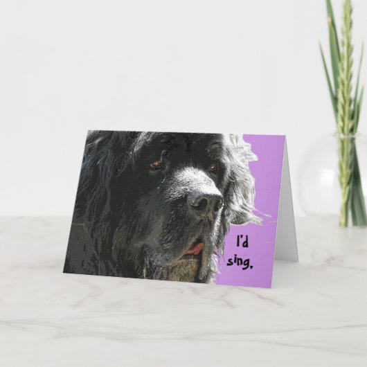 ニューファンドランドハッピーバースデー カード (正面)