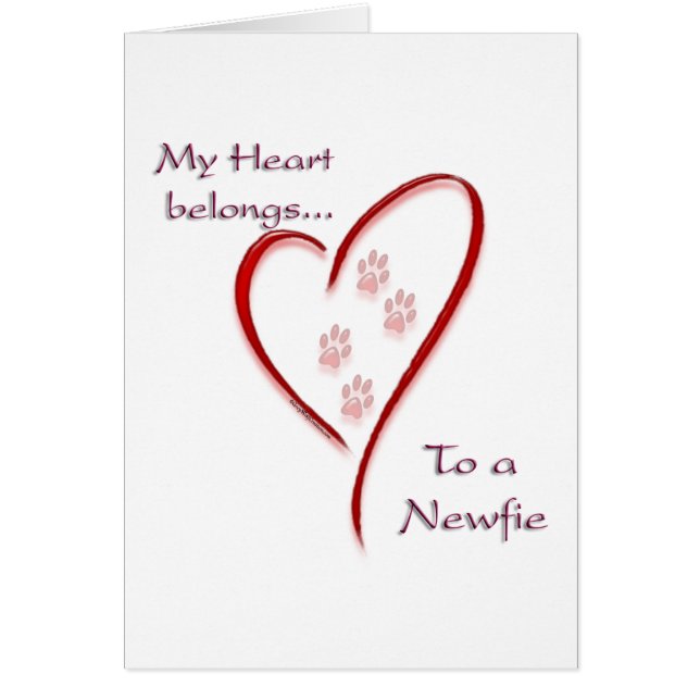 ニューファンドランドハート属 (正面)