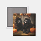 ニューファンドランドパピー秋の喜びカボチャ マグネット (正面/裏面)