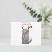 ニューファンドランドブラック親愛サンタ シーズンカード (スタンド正面)