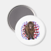 ニューファンドランド州の愛国者 マグネット (正面/裏面)