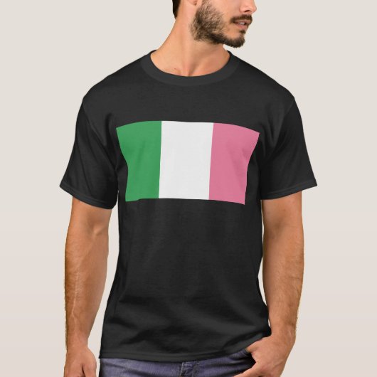 ニューファンドランド州旗（非公式） Tシャツ (正面)