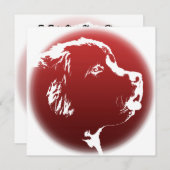 ニューファンドランド招待状パーソナライズされたドッグカード 招待状 (正面/裏面)