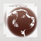 ニューファンドランド招待状パーソナライズされたドッグカード 招待状 (正面/裏面)