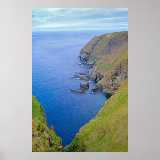 ニューファンドランド海岸線 ポスター (正面)