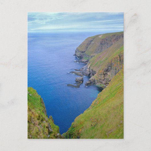 ニューファンドランド海岸線 ポストカード (正面)